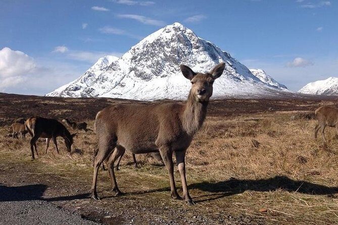 Glasgow: Loch Ness, Glencoe, and the Highlands Day Tour - FAQ