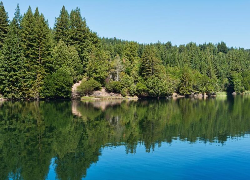 Glasgow: Stirling Castle, Loch Lomond Walk, and Whisky Tour - Highland Scenery and Loch Lomond