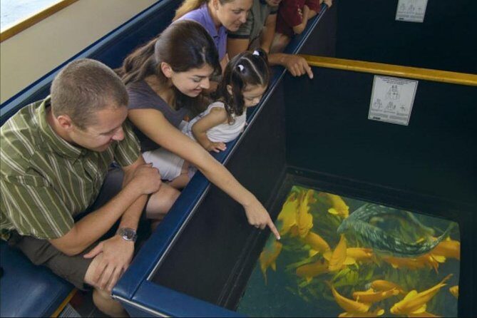 Glass Bottom Boat: Catalina Island Tour - Discovering Catalina’s Underwater Beauty with a Glass Bottom Boat Tour