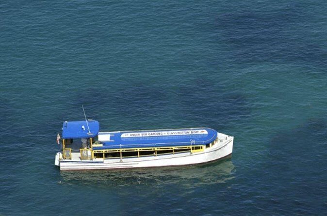 Glass Bottom Boat: Catalina Island Tour - Practical Tips for Your Trip