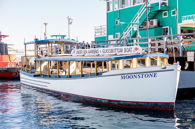 Glass Bottom Boat: Catalina Island Tour - Final Thoughts
