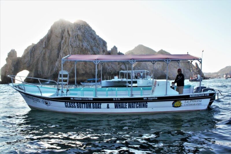 Glass Bottom Boat Sightseeing Tour in Cabo San Lucas - The Value Proposition