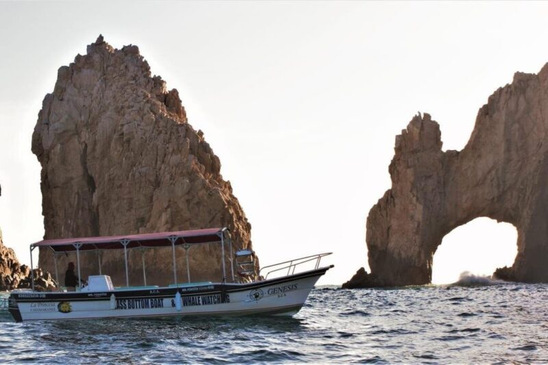 Glass Bottom Boat Sightseeing Tour in Cabo San Lucas - FAQ