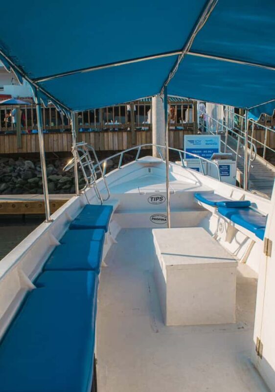 Glass bottom boat whale watching - FAQ