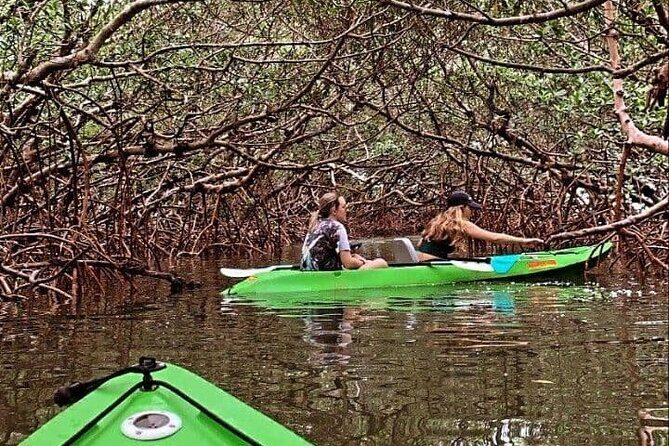 Glass Bottom Kayak Mangrove Tunnel & Sandbar Adventure Sarasota - Key Points