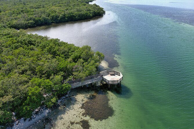 Glass Bottom Kayak Mangrove Tunnel & Sandbar Adventure Sarasota - A Detailed Look at the Experience