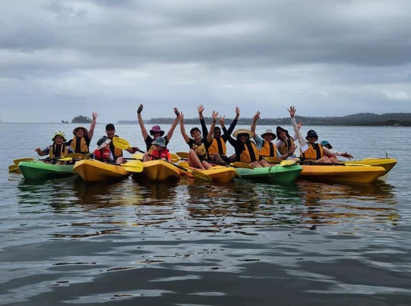 Glass Bottom Kayak Tour - An In-Depth Look at the Glass Bottom Kayak Experience