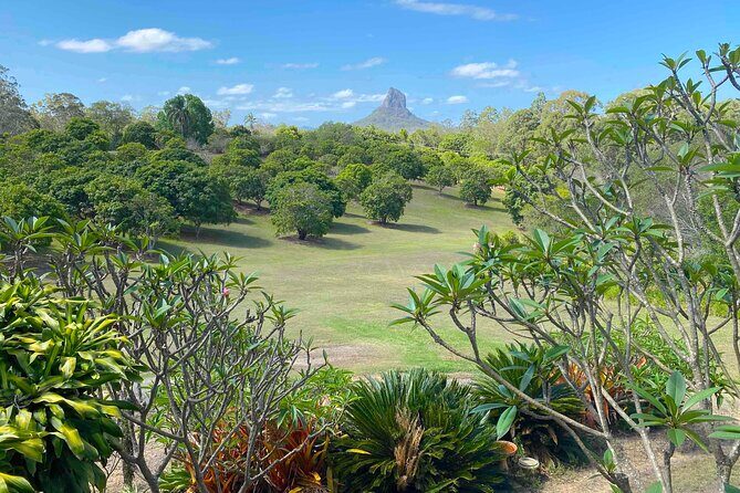 Glass House Mountains Tour with Lunch, Lookouts, and Nature Walks - Key Points