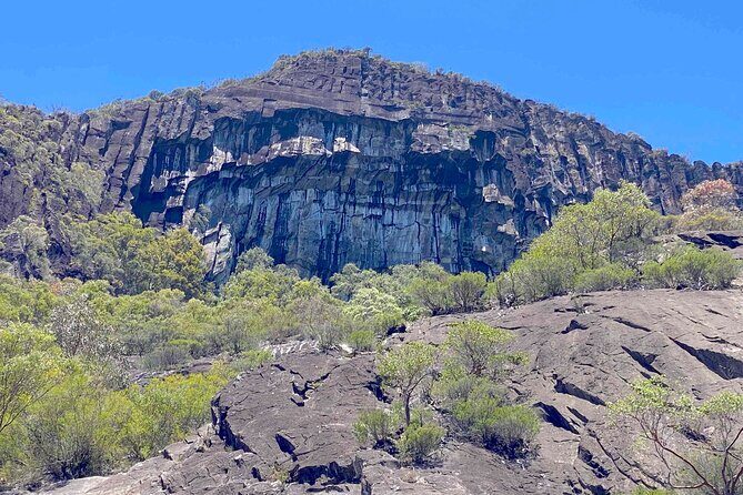 Glass House Mountains Tour with Lunch, Lookouts, and Nature Walks - The Sum Up