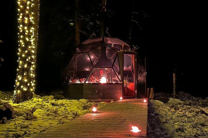 Glass Igloo Campfire Dinner under Northern Lights - The Sum Up: Is This Tour Right for You?