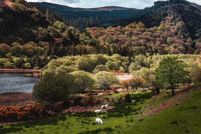 Glendalough Day Tour from Dublin: Including Kilkenny City - Who Should Consider This Tour?