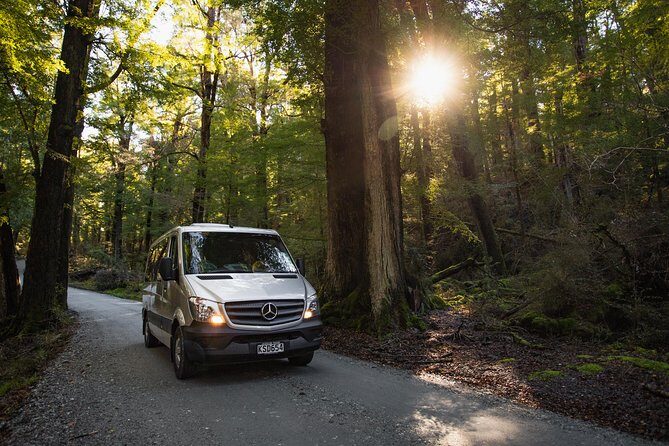 Glenorchy & Paradise Half-Day Scenic Tour from Queenstown - Final Thoughts: Who Will Love This Tour?