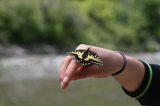 Glenwood Springs Half-Day Rafting Trip - Who Should Consider This Trip?
