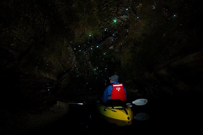 Glow Worm Kayak Tour - An In-Depth Look at the Glow Worm Kayak Tour