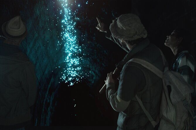 Glow-worms, Waterfalls & Rainforest Experience - A Fascinating Look at Byron Bay’s Natural Wonders: The Glow-worms, Waterfalls & Rainforest Experience