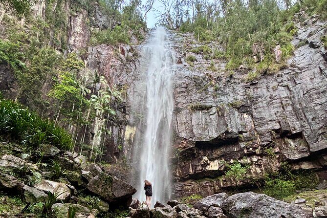 Glow-worms, Waterfalls & Rainforest Experience - Key Points