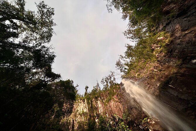 Glow-worms, Waterfalls & Rainforest Experience - Frequently Asked Questions