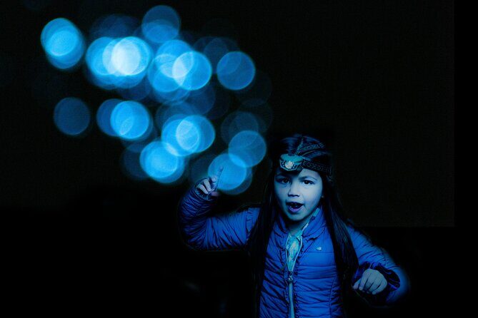 Glow-worms, Waterfalls & Rainforest Experience - Wrapping It Up