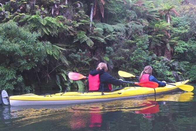 Glowworm Kayak Adventure on the Waikato River - An In-Depth Look at the Glowworm Kayak Adventure on the Waikato River