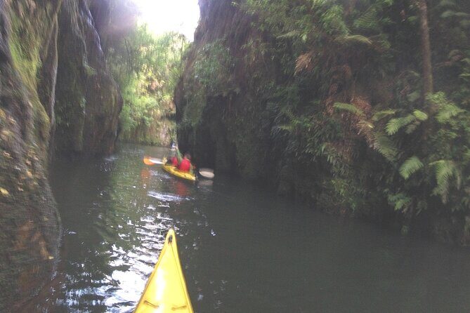 Glowworm Kayak Adventure on the Waikato River - Final Thoughts: Is This Tour Worth It?