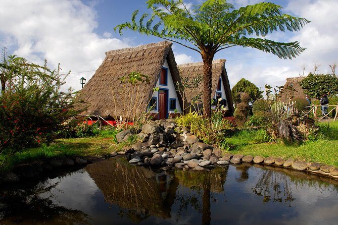 Go East Tour - Madeira Island Excursion - The Experience and Practicalities