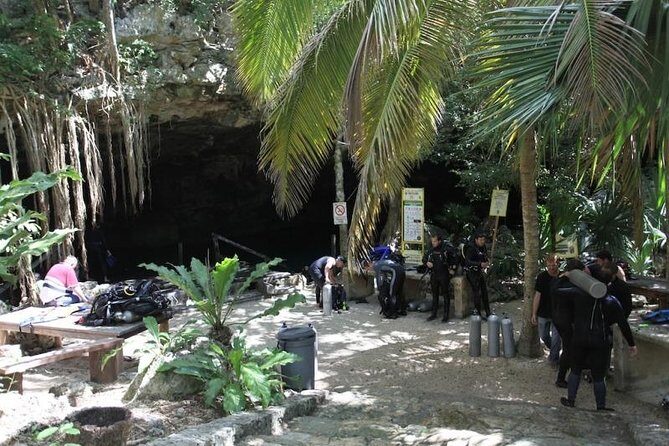 Go for 2 dives in cenote Dos ojos for certified divers - Final Thoughts: Why This Tour Is a Great Choice