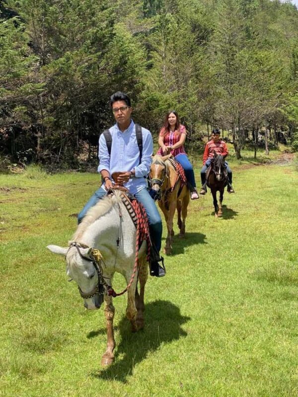 Go horseback riding in the forest and visit San Juan Chamula - Key Points