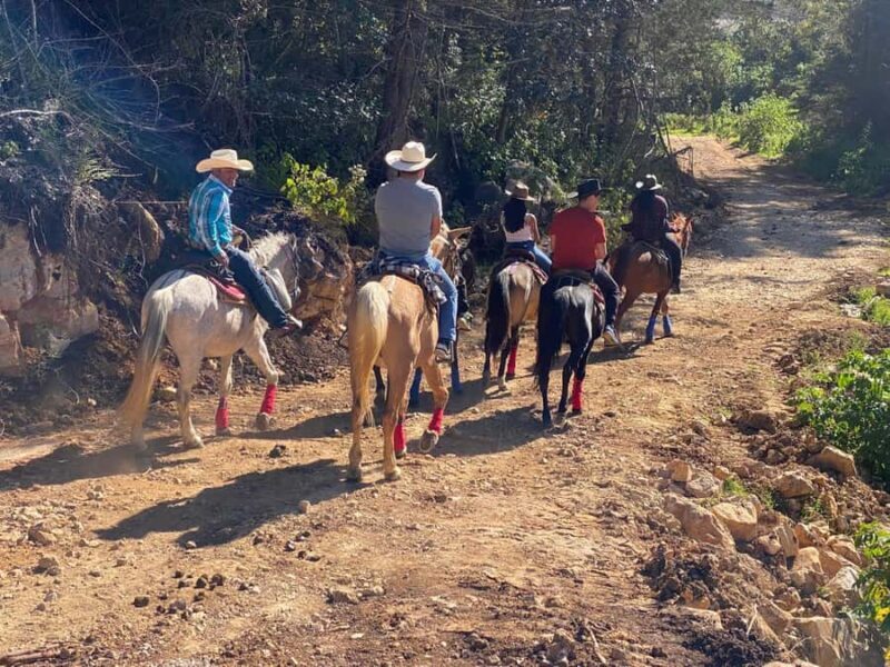 Go horseback riding in the forest and visit San Juan Chamula - What You Need to Know Before Booking