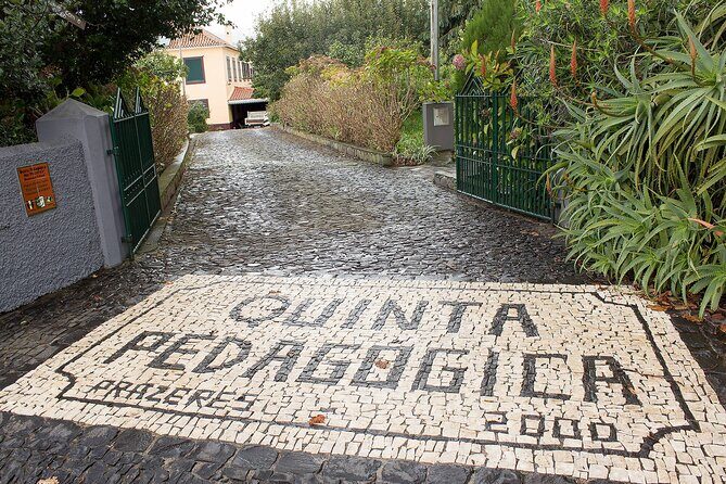 Go South Tour - Madeira Island Excursion - Who Should Book This Tour