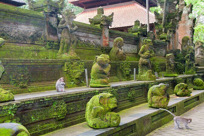Goa Gajah / Elephant Cave Temple And Ubud Tour - All Inclusive - FAQ
