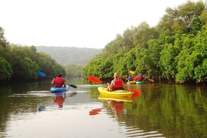 Goa Kayaking in Spike's River - Key Points
