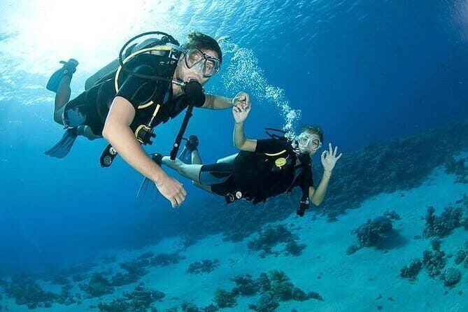Goa Scuba Diving at Grand Island Join Tour - Final Thoughts