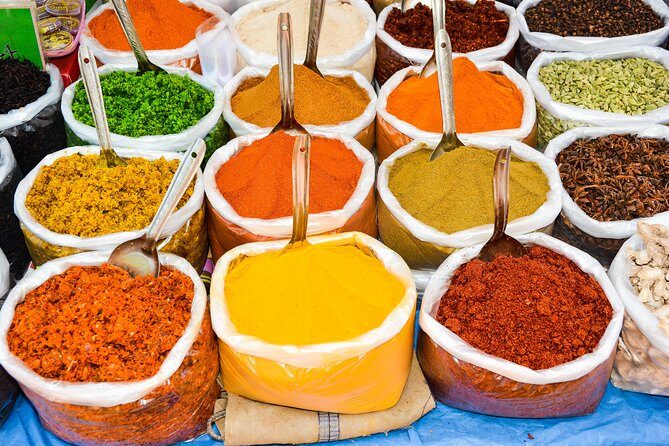 Goa Walking tour: History, Culture, Art and architecture - Authentic Insights from Past Travelers