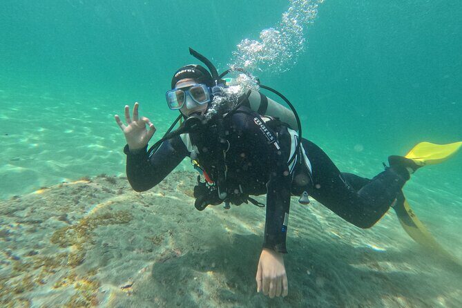 Goat Island Experience Guided Shore Dive - What Makes Goat Island Marine Reserve a Must-Visit?