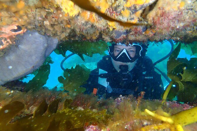 Goat Island Experience Guided Shore Dive - FAQs