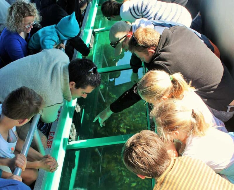 Goat Island: Glass Bottom Boat Tour - Key Points