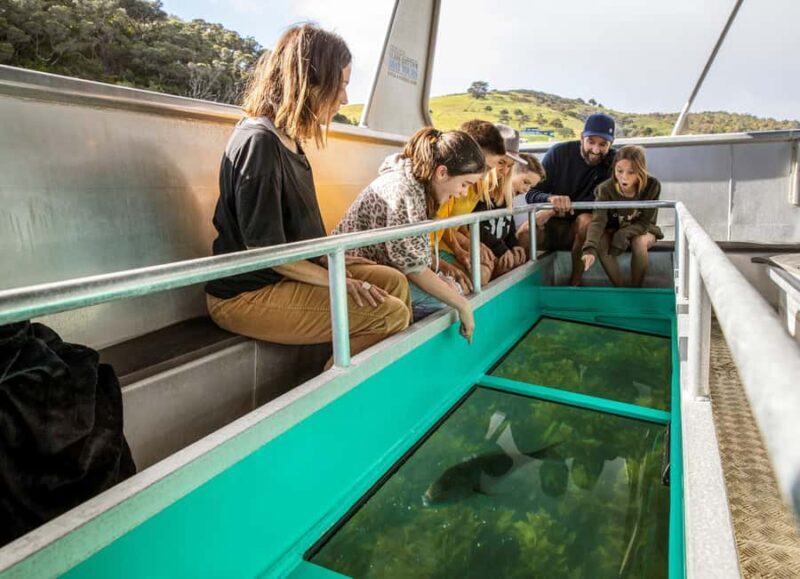 Goat Island: Glass Bottom Boat Tour - FAQ