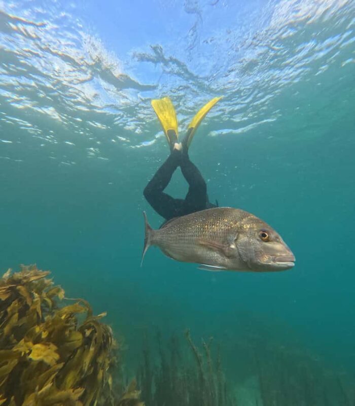 Goat Island Guided Snorkelling Tour For Advanced - Final Thoughts: Who Will Love This Tour?