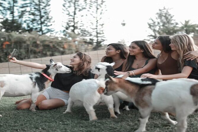 Goat Yoga Group Session - FAQ