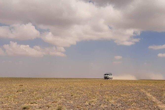 Gobi and Grassland Mongolia 7N8D - A Deep Dive into the Mongolia 8-Day Adventure