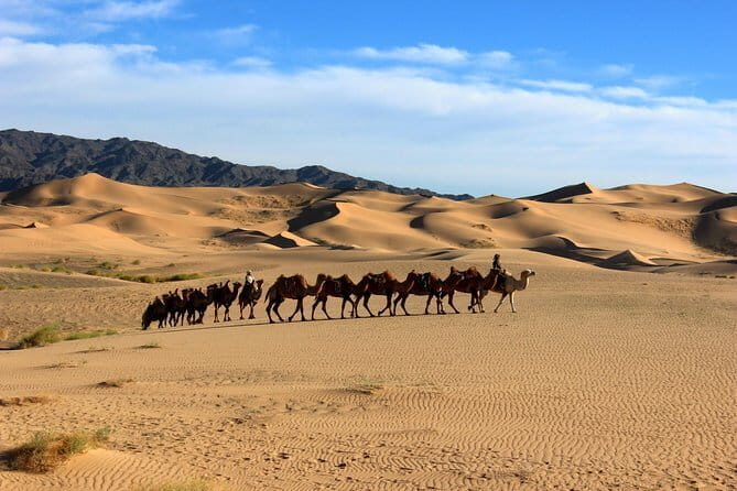 Gobi desert Mongolia for 8 days - An In-Depth Look at the 8-Day Gobi Desert Tour