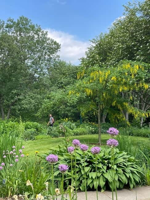 Godafoss, Laufás Museum & Akureyri Highlights Tour - Practical Details and Value