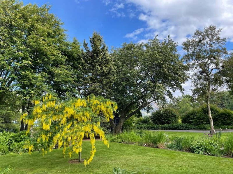 Godafoss, Laufás Museum & Akureyri Highlights Tour - FAQ