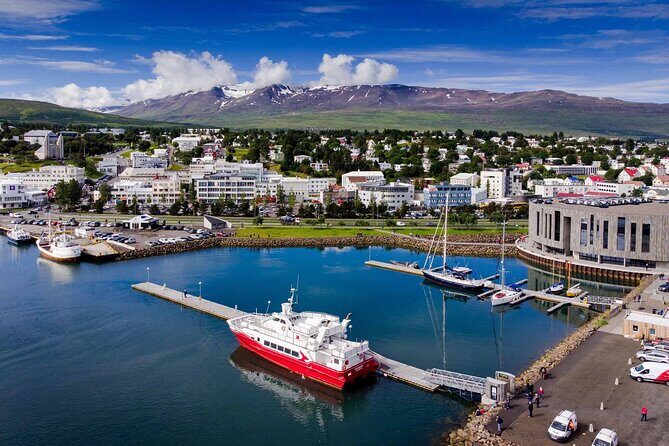 Goðafoss Waterfall & Forest Lagoon from Akureyri Port - Value for Money: How Well Does the Tour Stack Up?