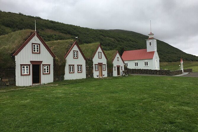 Godafoss Waterfall & Turf House Half-Day Tour from Akureyri Port - A Deep Dive into the Experience