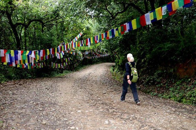 Godavari to Fulchoki Day Hike Near Kathmandu - Practical Details and Considerations