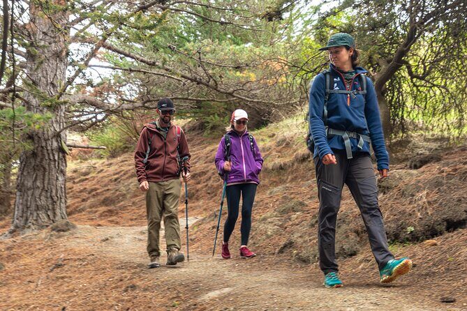 Godley Head & Lyttelton Scenic Drive & Guided Walk (Private Tour) - Key Points