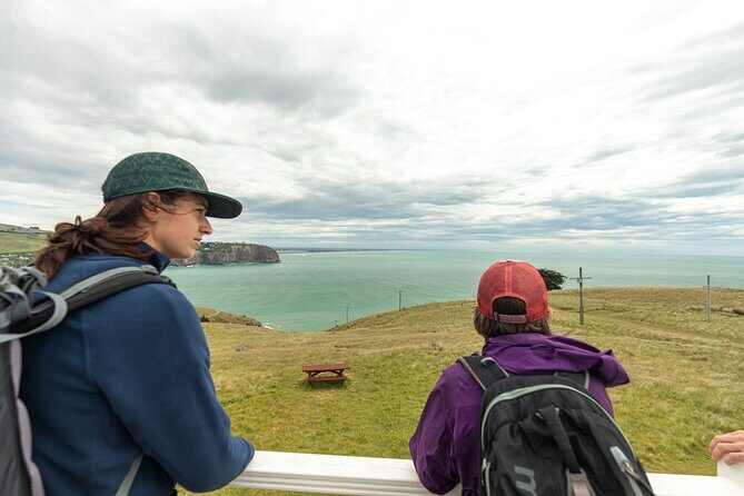 Godley Head & Lyttelton Scenic Drive & Guided Walk (Private Tour) - Final Thoughts