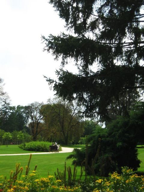 Godollo Royal Palace Full-Day Tour from Budapest - Key Points