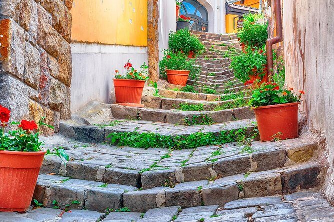 Godollo Sisi Castle and Szentendre Full-Day Private Tour from Budapest - A Closer Look at the Itinerary
